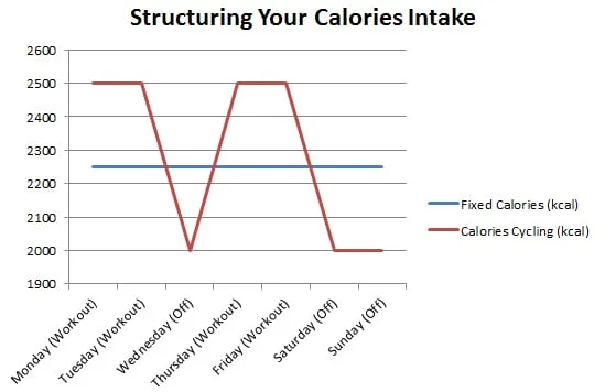 structuring your calories intake bulk and cut