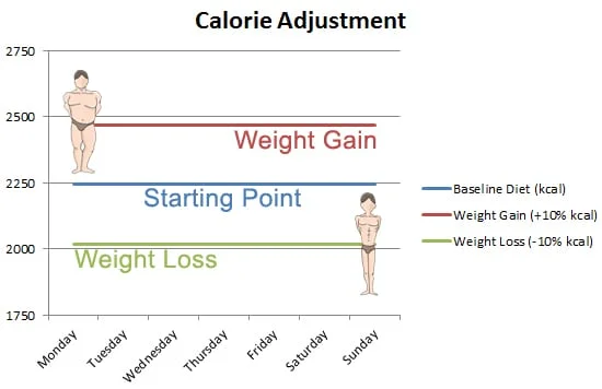 calorie adjustment bulk and cut