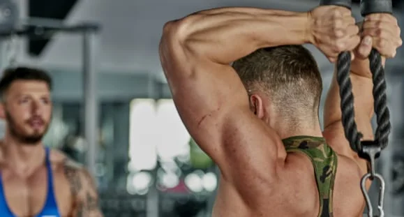 muscle growth