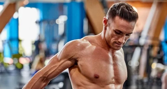 build muscle mass